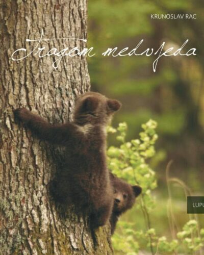 Knjiga Tragom Medvjeda